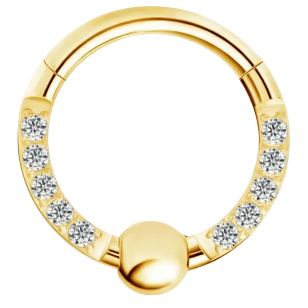 Titanium Segmented Clicker With Zircons and Ball - Circle - Piercing Planet
