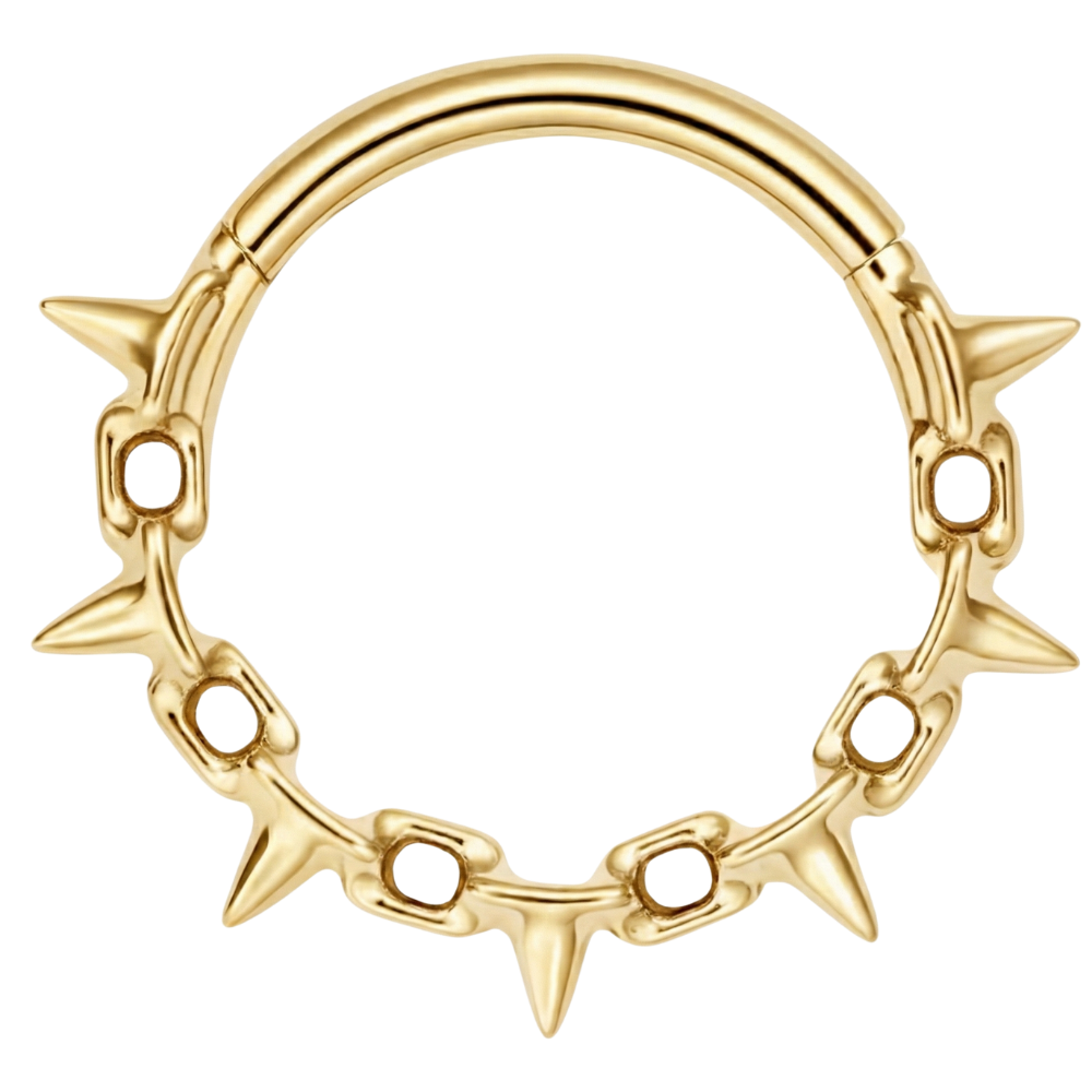 Clicker Segment Titane Avec Épines - Cercle