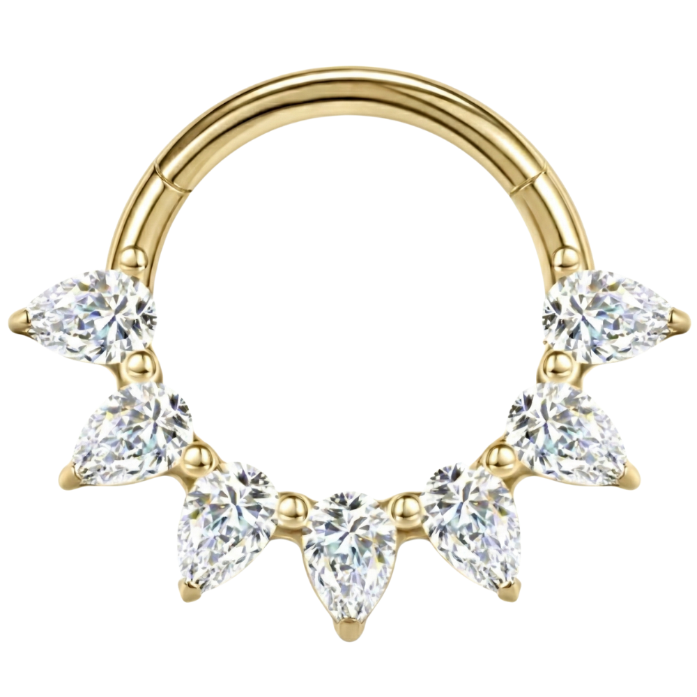 Titanium Segmented Clicker With Zircons, 7 Diamonds - Circle - Piercing Planet