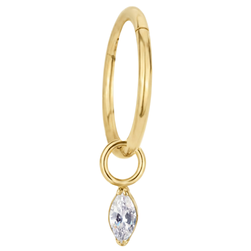 Titanium Segmented Clicker with Cubic Zirconia Pendant – Ring