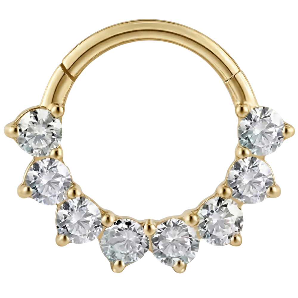 Titanium Segment Clicker With Cubic Zirconia, 8 Diamonds - Circle