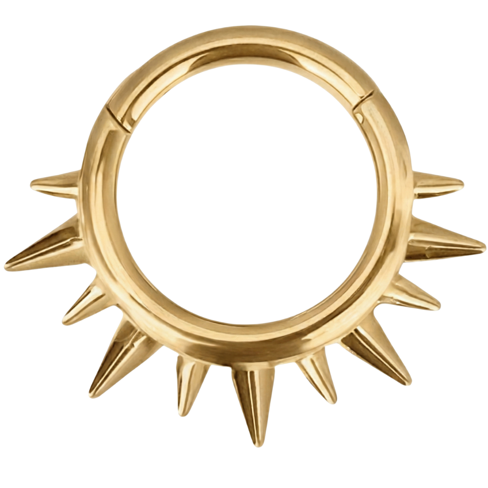 Titanium Segmented Clicker with Spikes - Circle