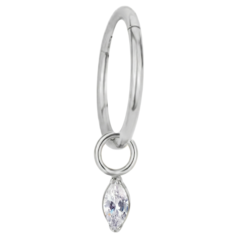 Titanium Segmented Clicker with Cubic Zirconia Pendant – Ring