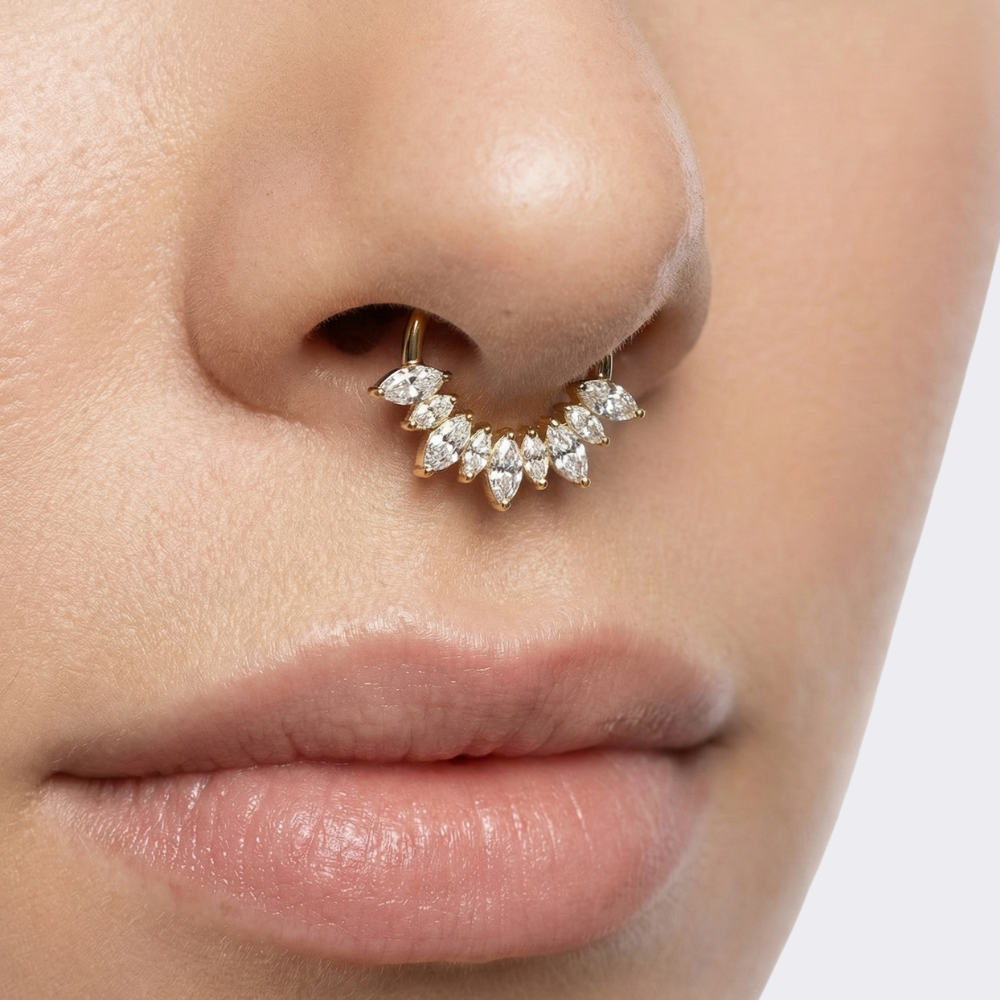 Clicker segment en titane avec 9 zircones cubiques - Cercle