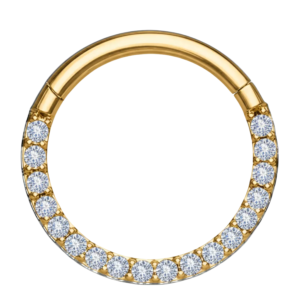 Titanium Segmented Clicker With Zircons - Circle - Piercing Planet