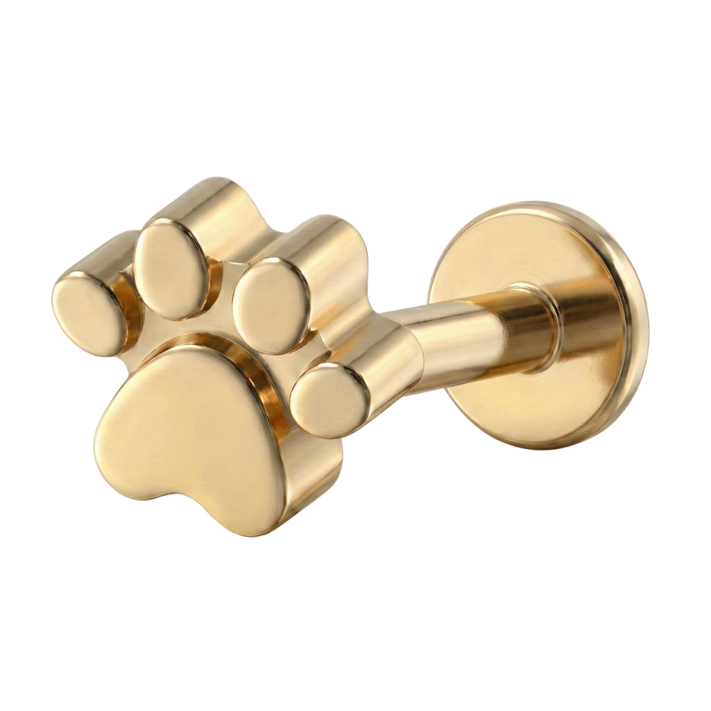 Labret Décoratif Titane - Patte