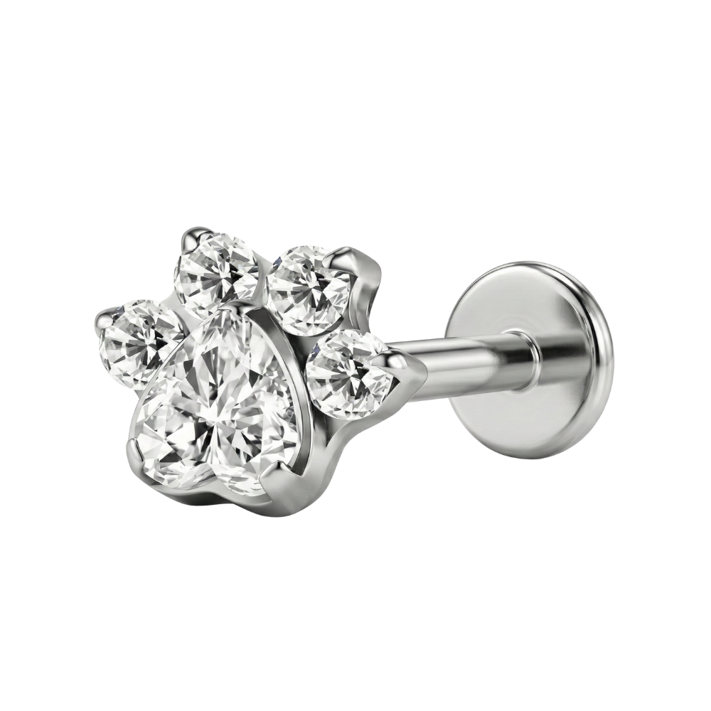 Decorative Titanium Labret - Paw With Cubic Zirconia