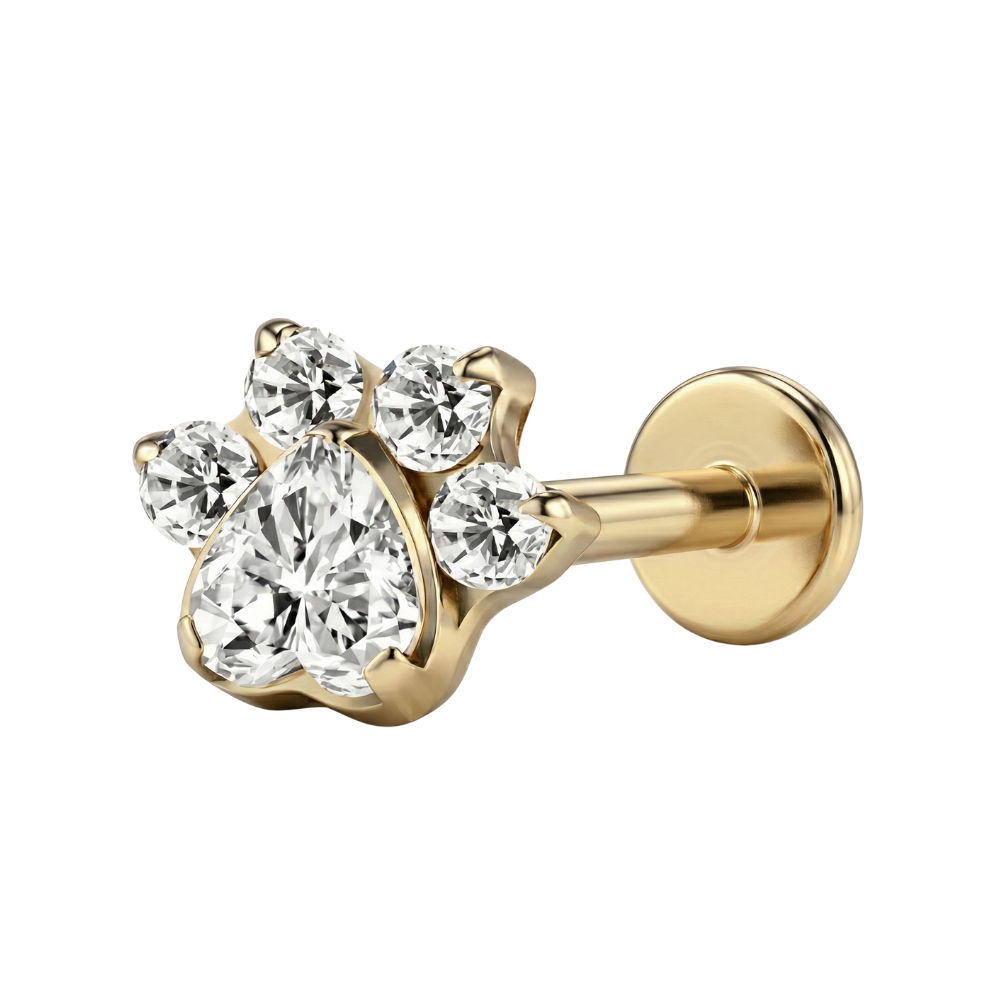 Labret Décoratif Titane - Patte Avec Zircons