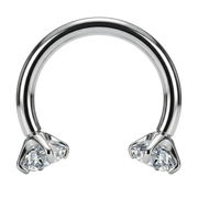 Fer à Cheval Décoratif en Titane - Strass