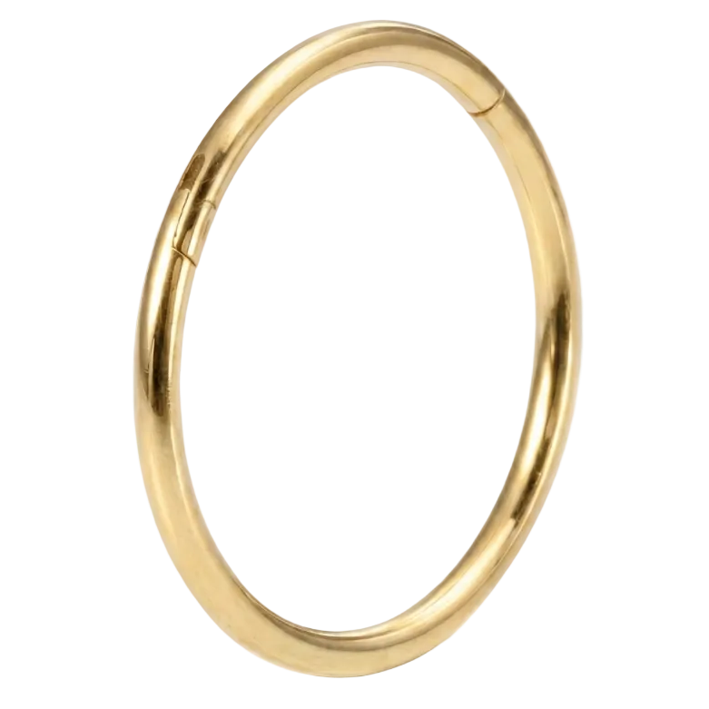 Titanium Segmented Clicker - Circle - Piercing Planet