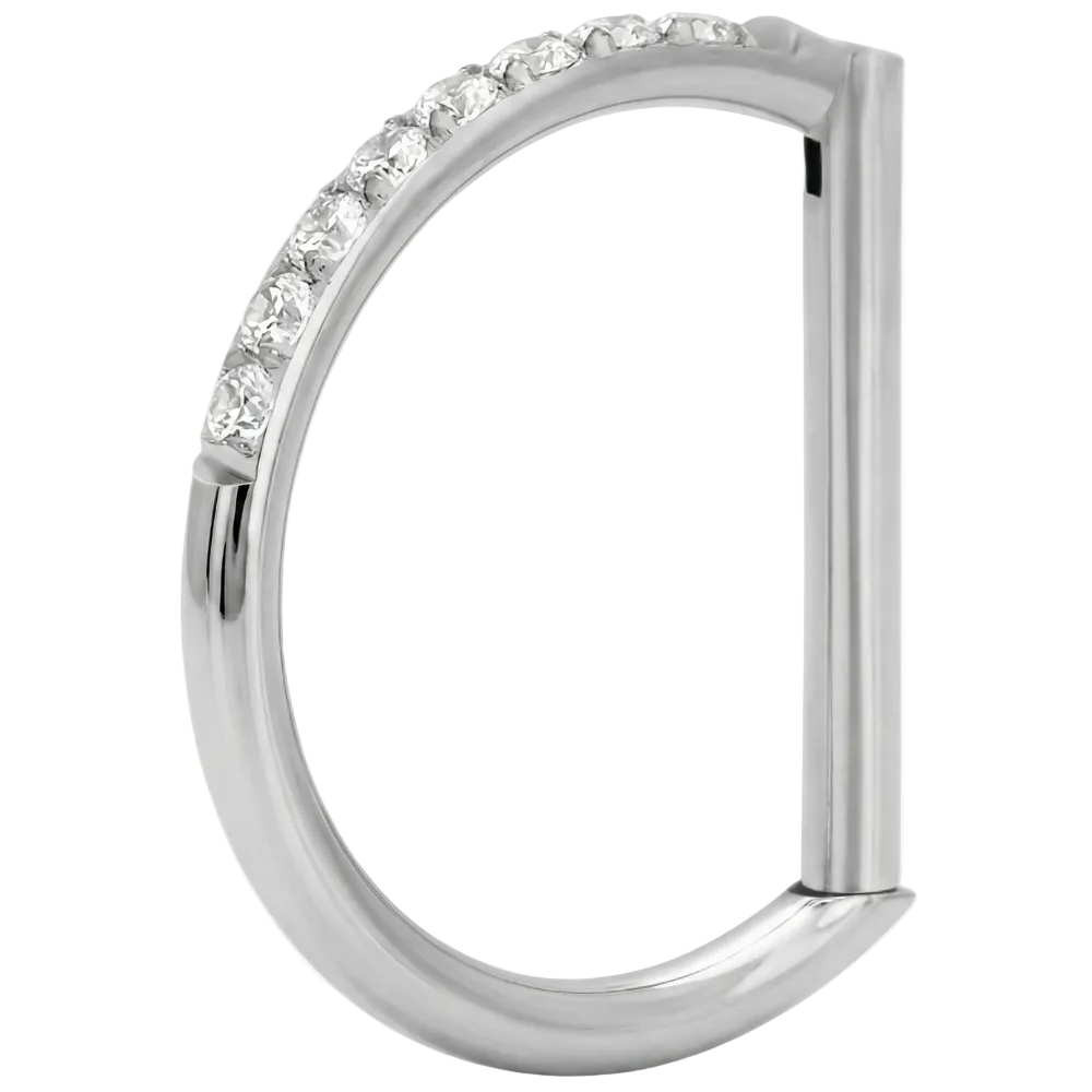Titanium Segmented Clicker with Cubic Zirconia - D-Ring
